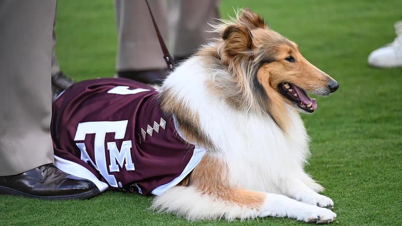 The First Lady of Aggieland, outranking everyone in frame.