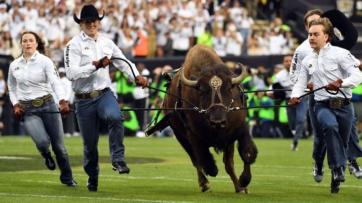 The 10 Best Mascots in College Football, Ranked