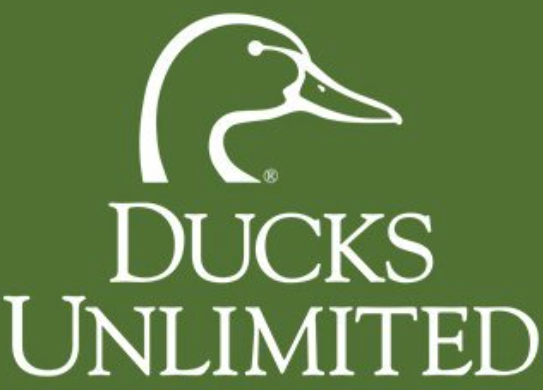High school seniors invited to apply for Ducks Unlimited Scholarships