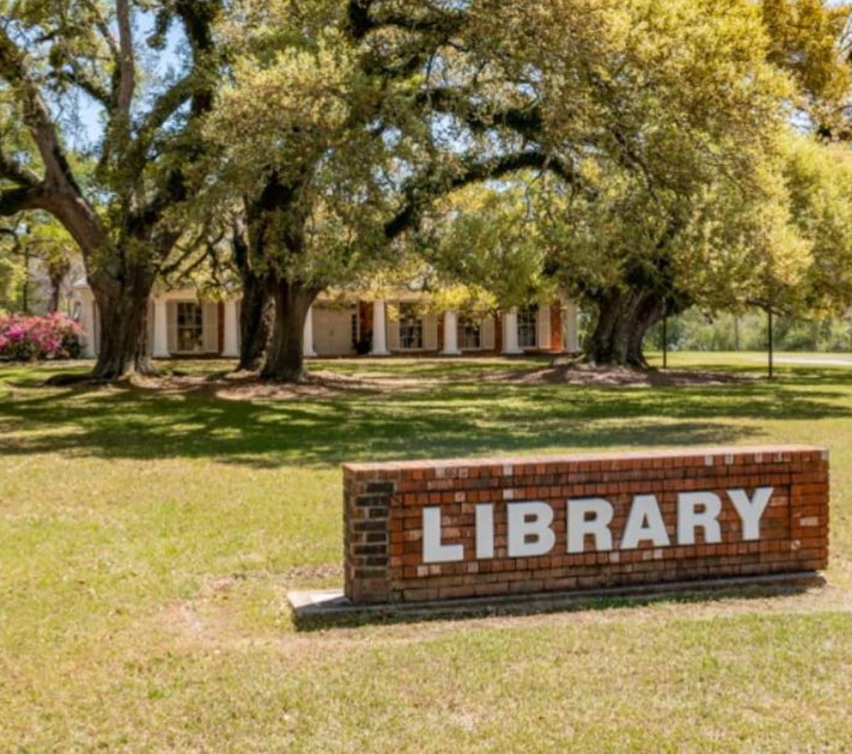 Avoyelles Parish Library's February Events!