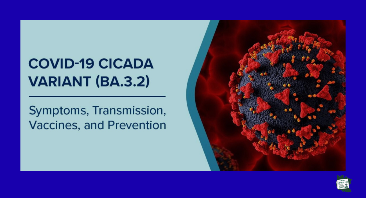 New COVID Variant "Cicada" Under Monitoring