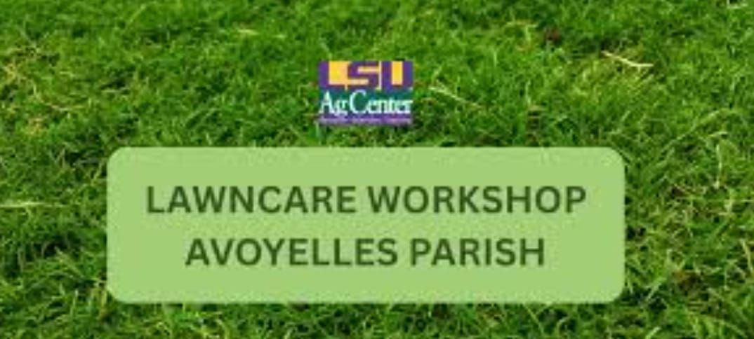 Improve Your Lawn Care Skills at Mansura Workshop! 🌿