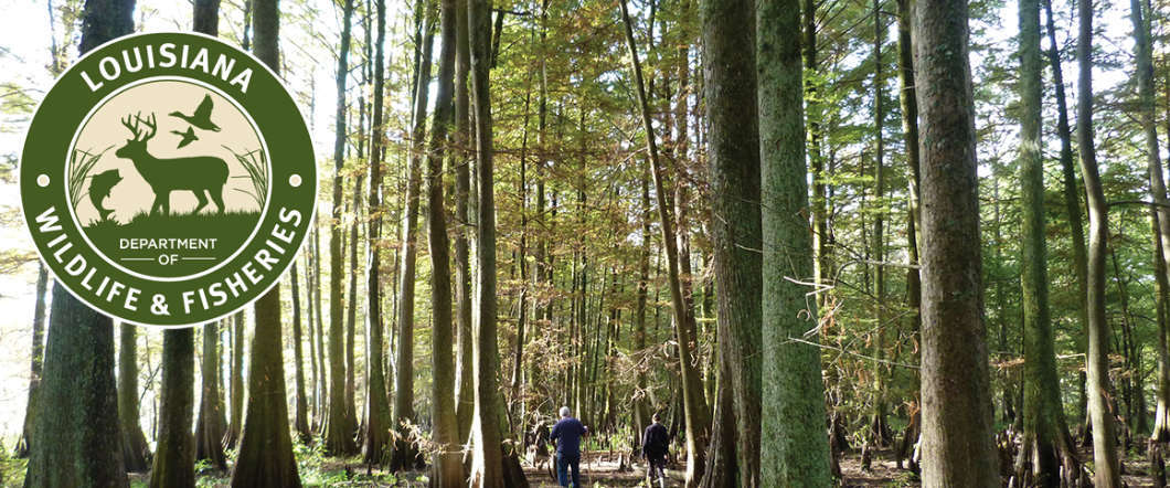 Join the Fun at LDWF's Boating Education Day!🚤