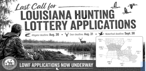 Last call for Louisiana hunting lotteries applications