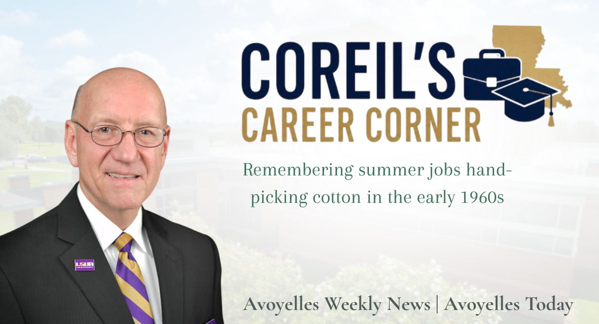 Remembering summer jobs hand- picking cotton in the early 1960s