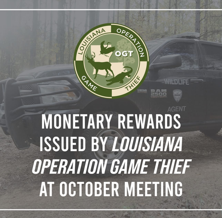 Louisiana Operation Game Thief Awards $6,100 to Informants for Wildlife Violation Tips