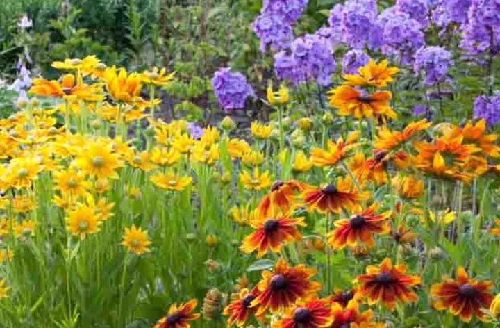 Get It Growing calendar brings tips, tricks for Louisiana gardeners in 2026