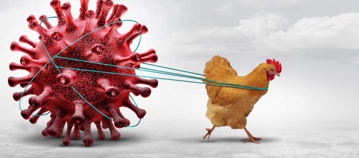 🚨 🦠Health Alert: Avian Flu and Salmonella Outbreak Warnings in Louisiana!