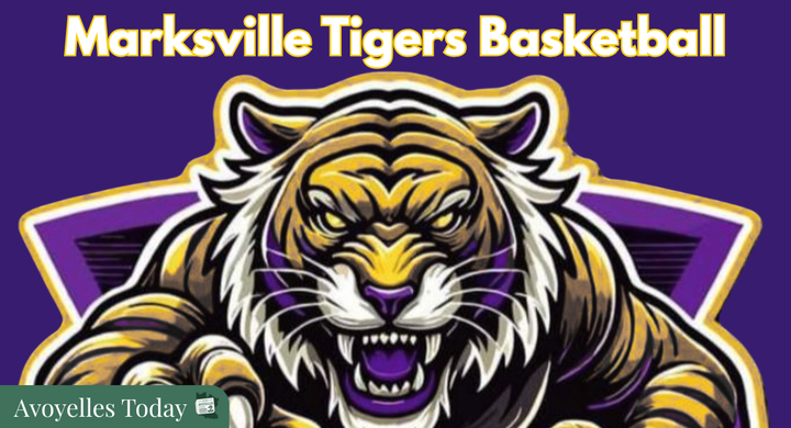 🏀 Tigers Roar to Victory: Marksville Basketball Stays Competitive on the Court!