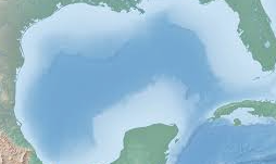 Lawsuit Filed by Wildlife Groups Over Gulf Oil Exemption!