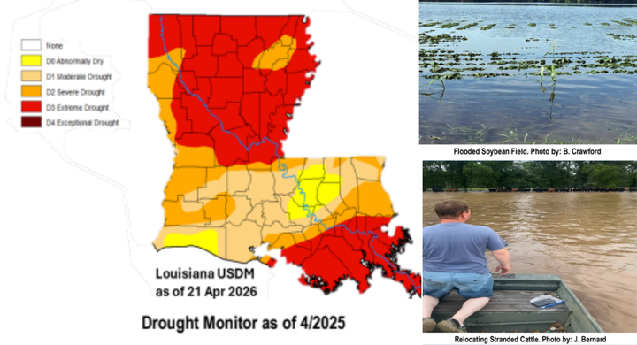 How Much More Can They Take?? Avoyelles Farmers Face a Brutal 2026