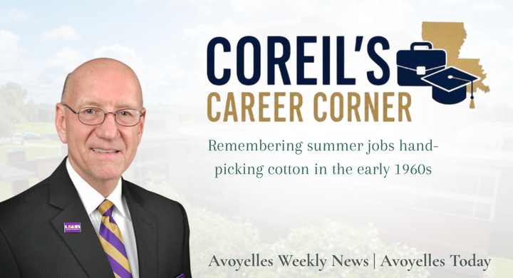 Remembering summer jobs hand- picking cotton in the early 1960s
