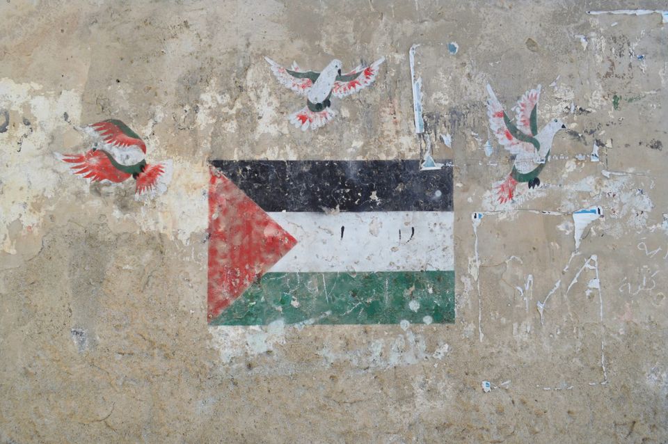Palestinian flag painted on chipped concrete wall surrounded by three painted birds