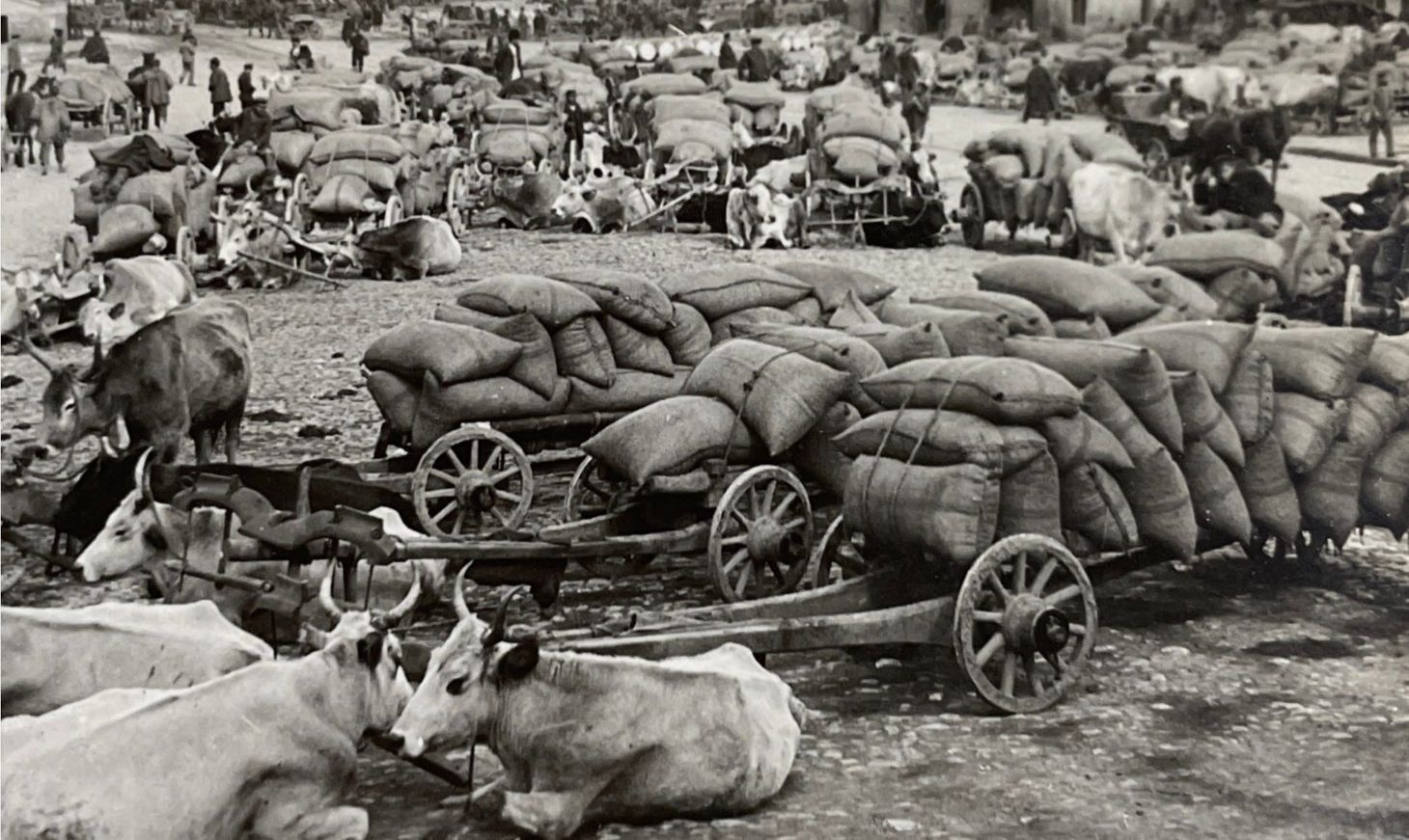 “On Arrival at the Market with their Grain”: Grain and Mass Production in Late Imperial Russia