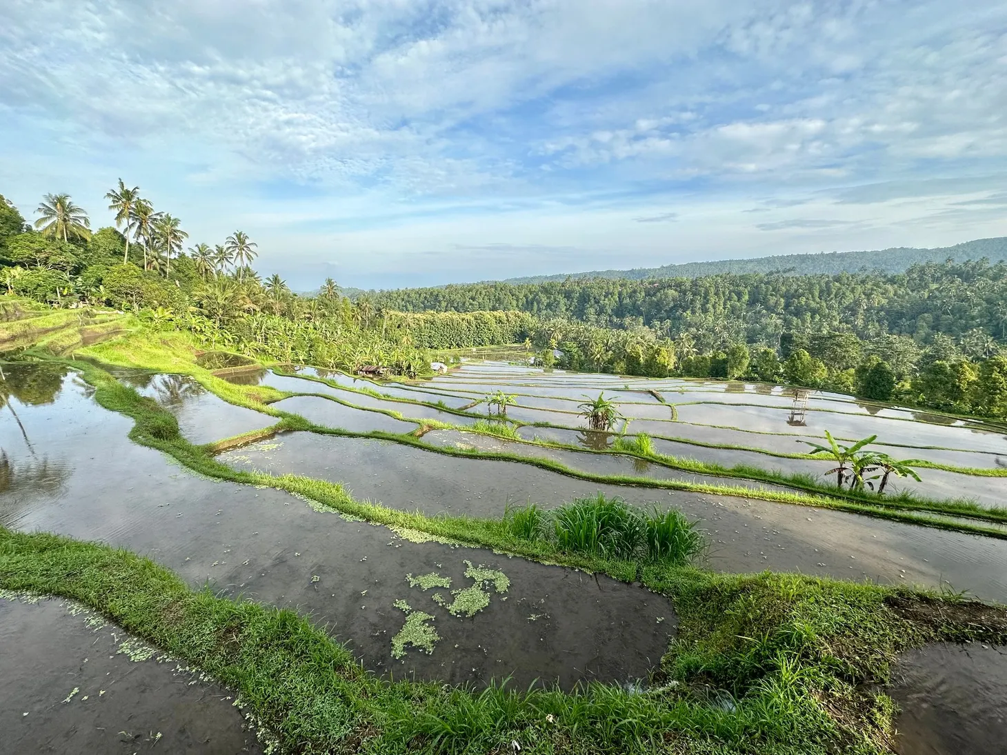 Monthly Digest: February 2023