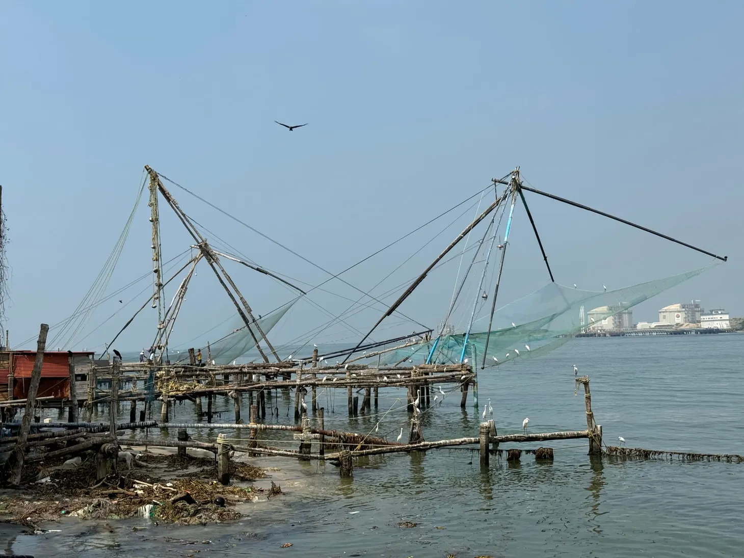 Monthly Digest: January 2024