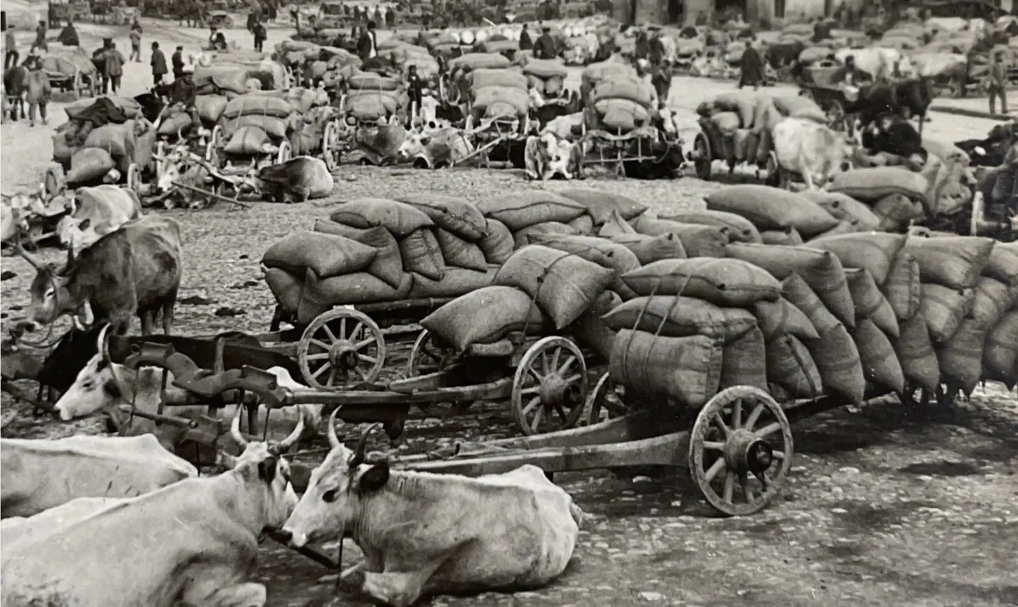 “On Arrival at the Market with their Grain”: Grain and Mass Production in Late Imperial Russia