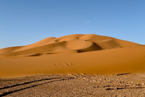 A New Continent at Thirty: Notes from a Moroccan Birding Trip