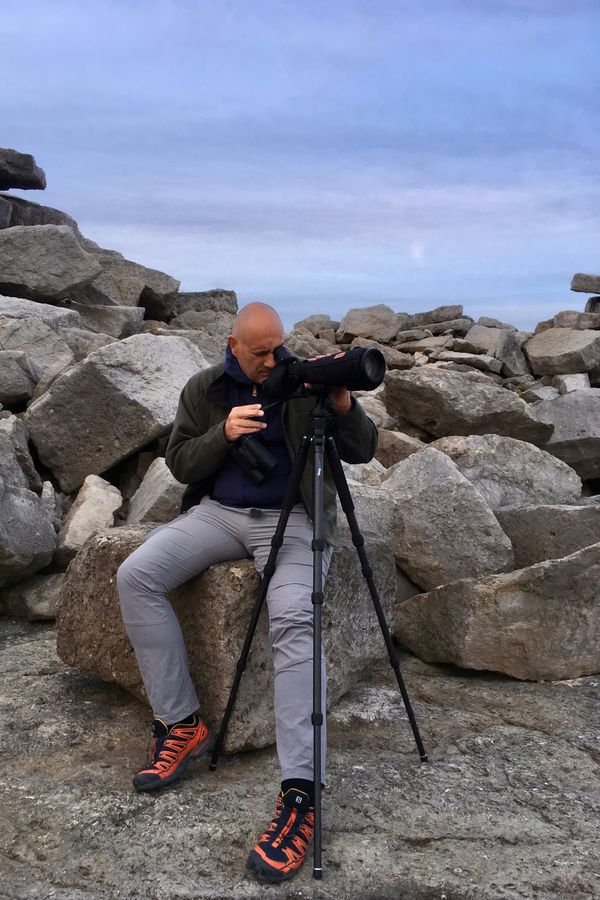 About Bird Observer