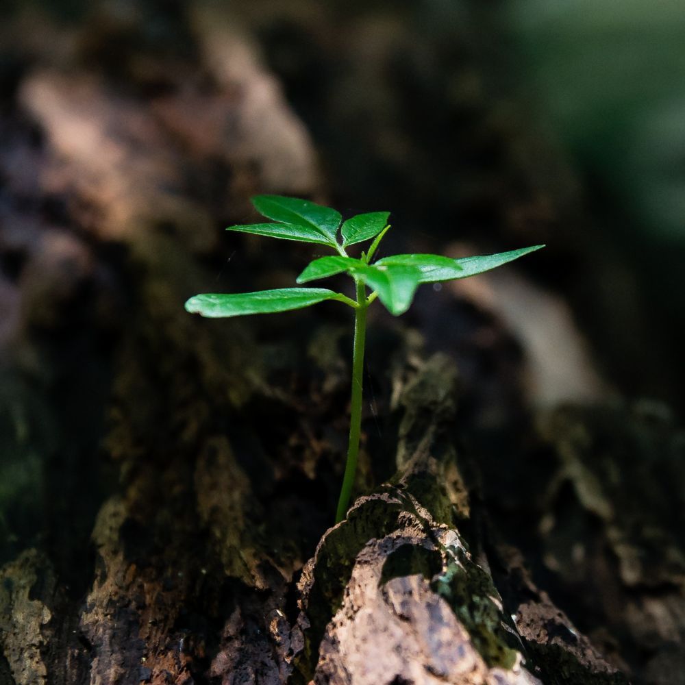 Best Books on Goal Setting