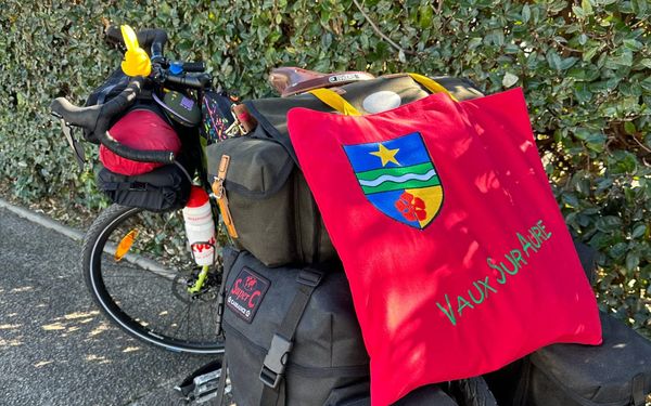 さよなら Sayonara !