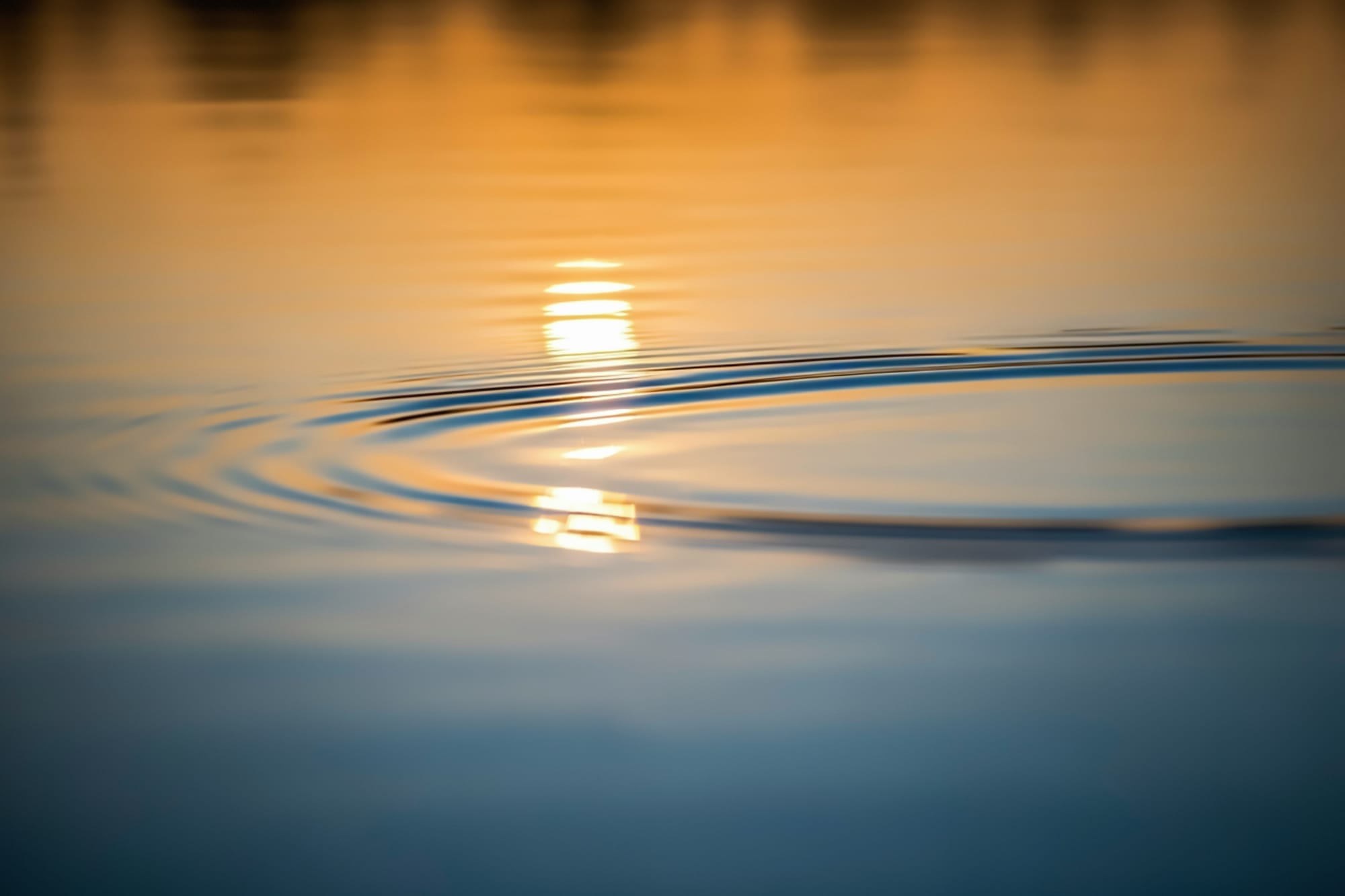 A serene, close-up photograph of concentric water ripples on a calm surface, reflecting a soft golden sunset glow transitioning into gentle blue tones.