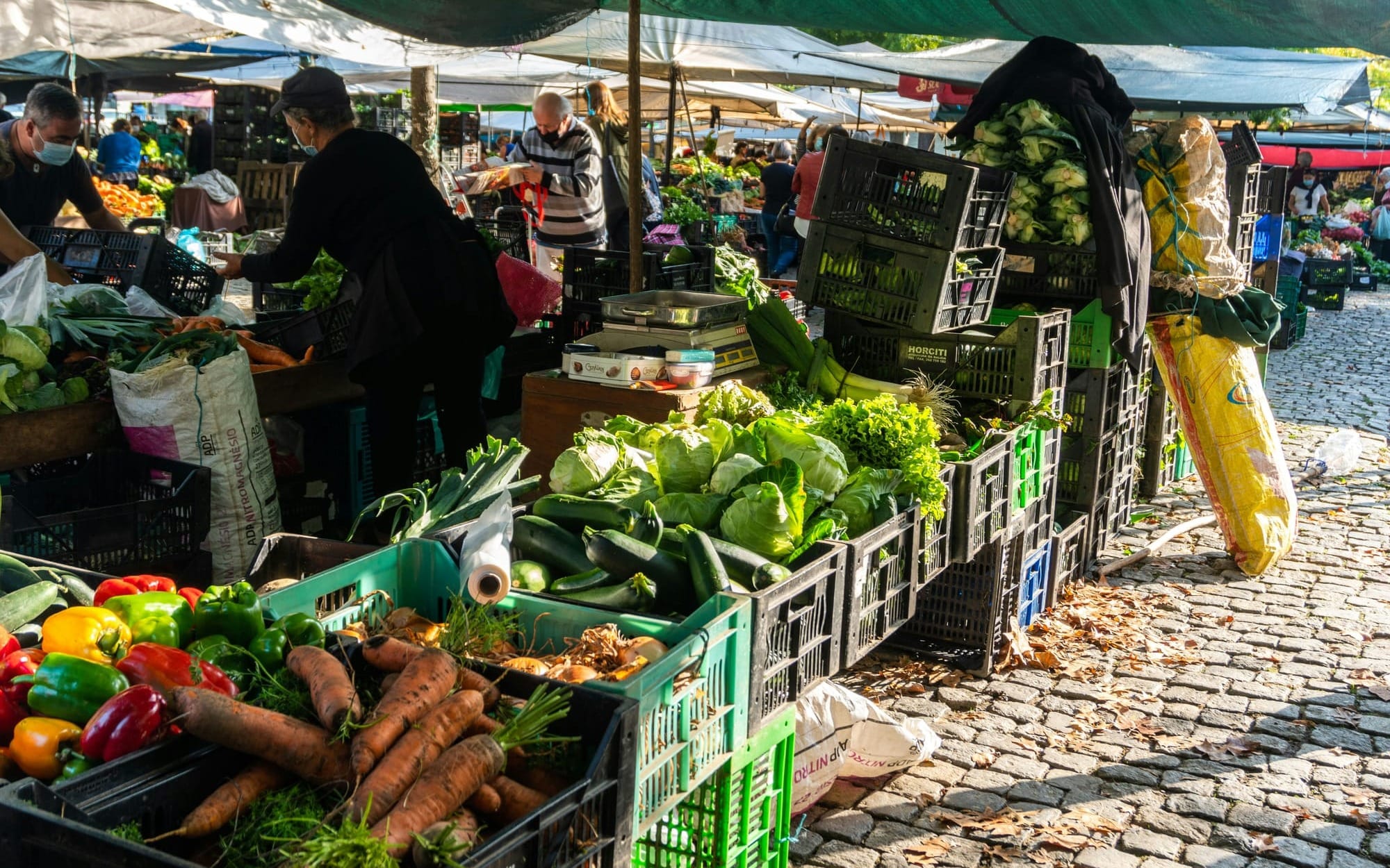 Open‑air market with people selecting fresh vegetables under shaded stalls — a vivid example of environmental architecture where design and community make healthy living the default.