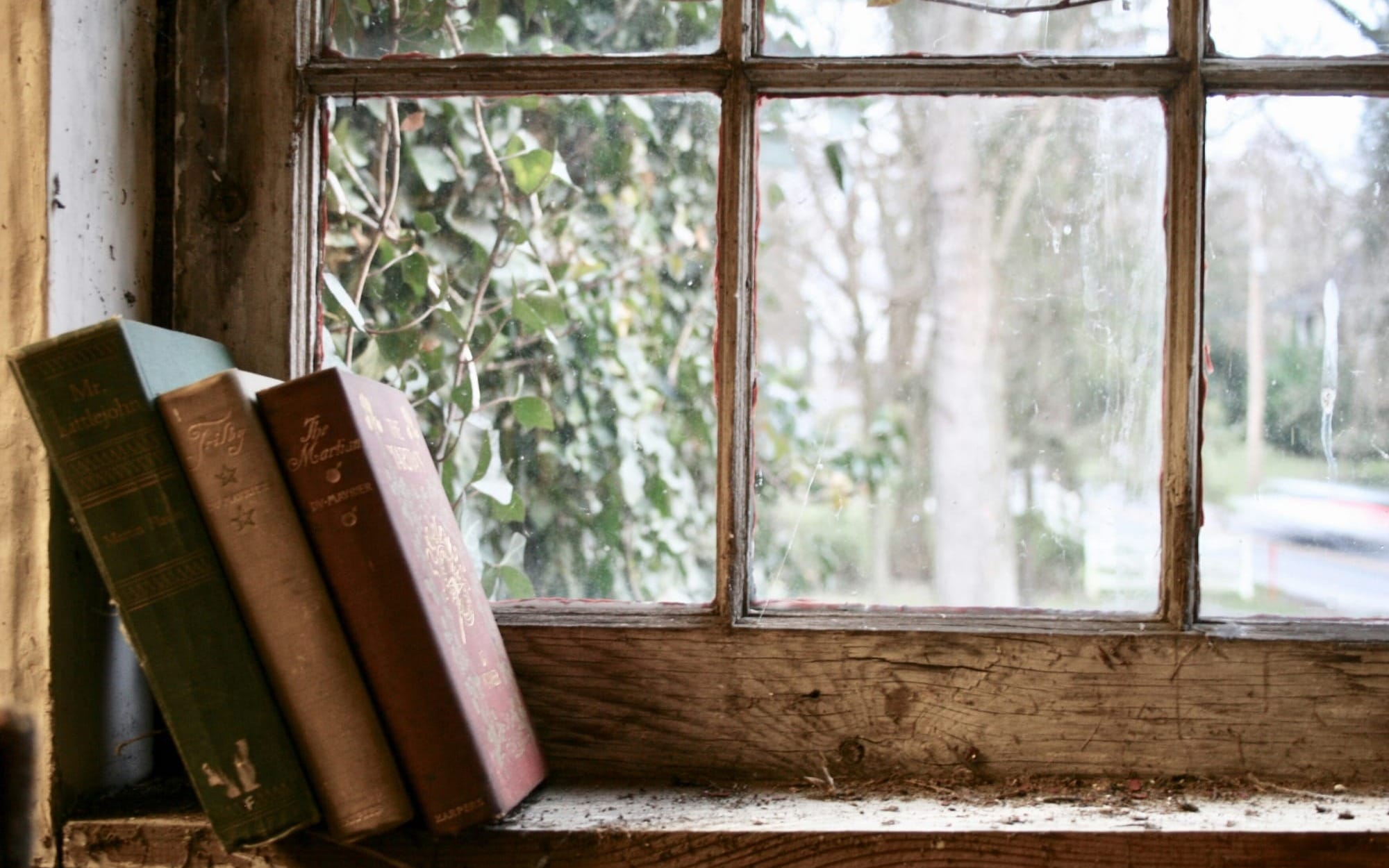 Three vintage, leather-bound books leaning against a rustic wooden window sill looking out onto a soft-focus green garden. The natural light casts a nostalgic and introspective mood, symbolizing quiet study, self-reflection, and inner intelligence.
