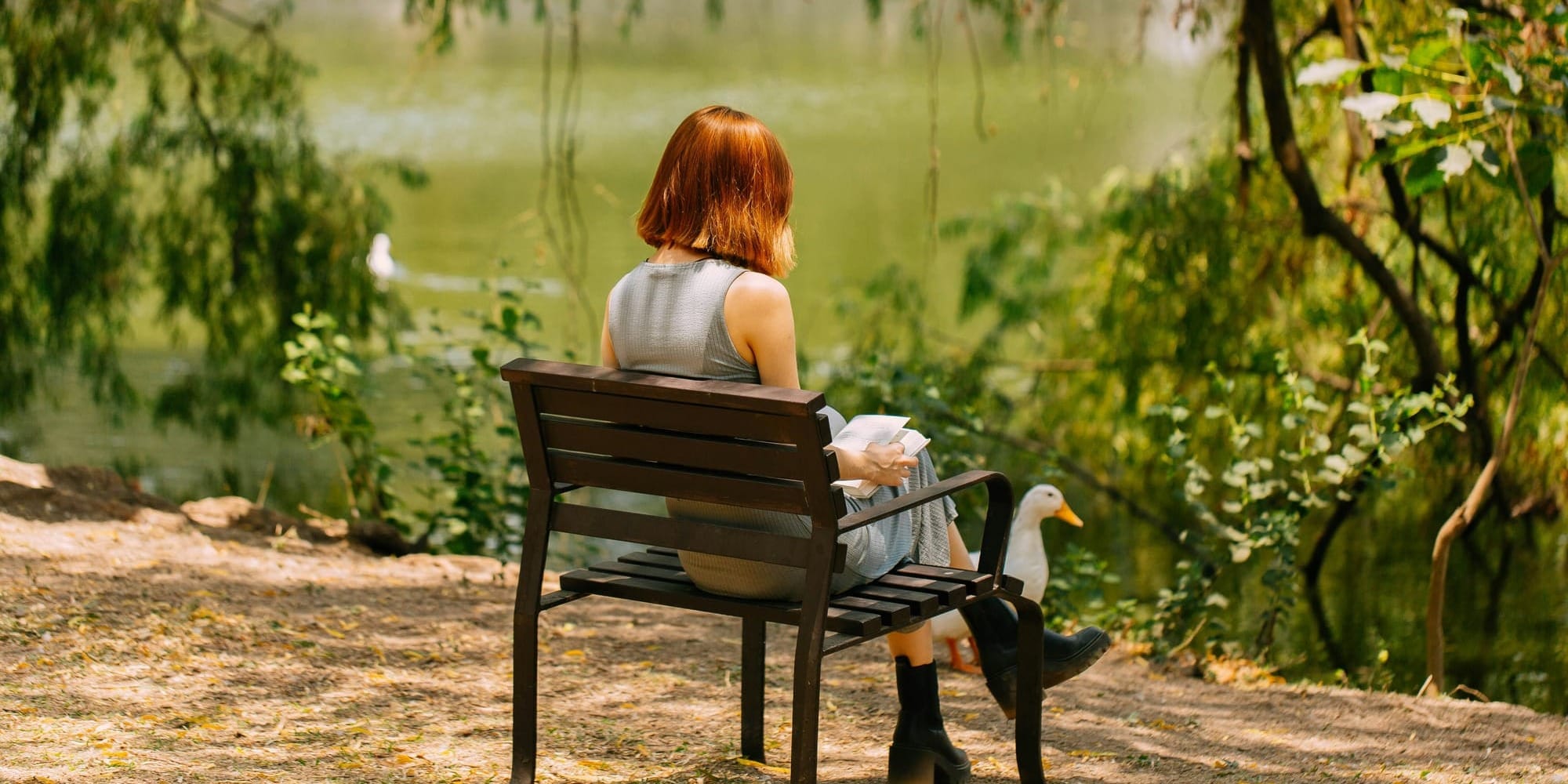 Person sitting calmly on a park bench facing a peaceful water landscape, symbolizing nervous system healing and stress reduction.
