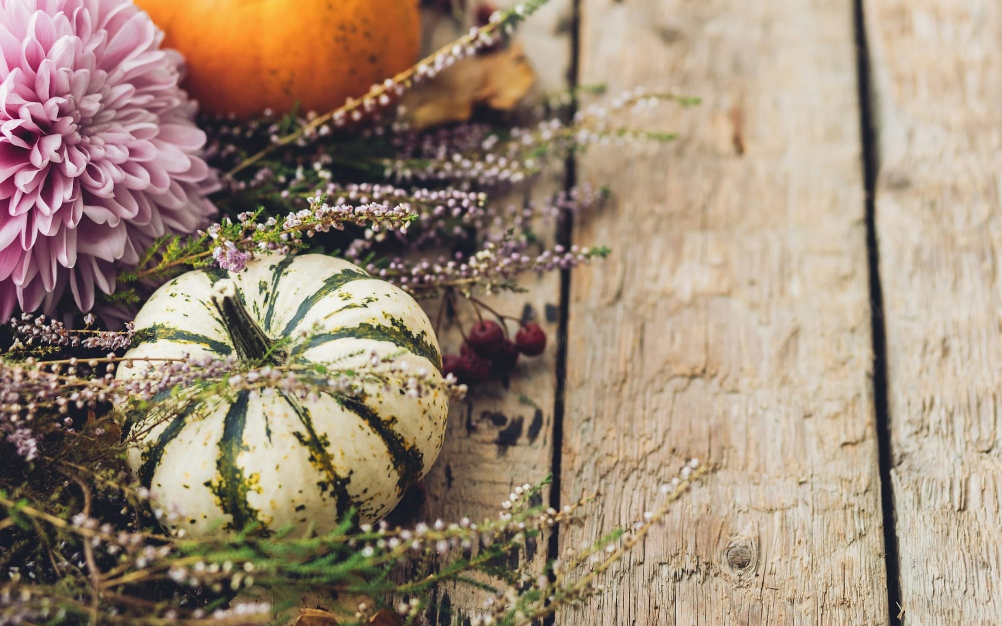 Rustic autumn still life with striped and orange pumpkins, pink chrysanthemum, and sprigs of heather on weathered wood — a calm visual echo of Blue Zones’ natural rhythms and plant‑forward living.