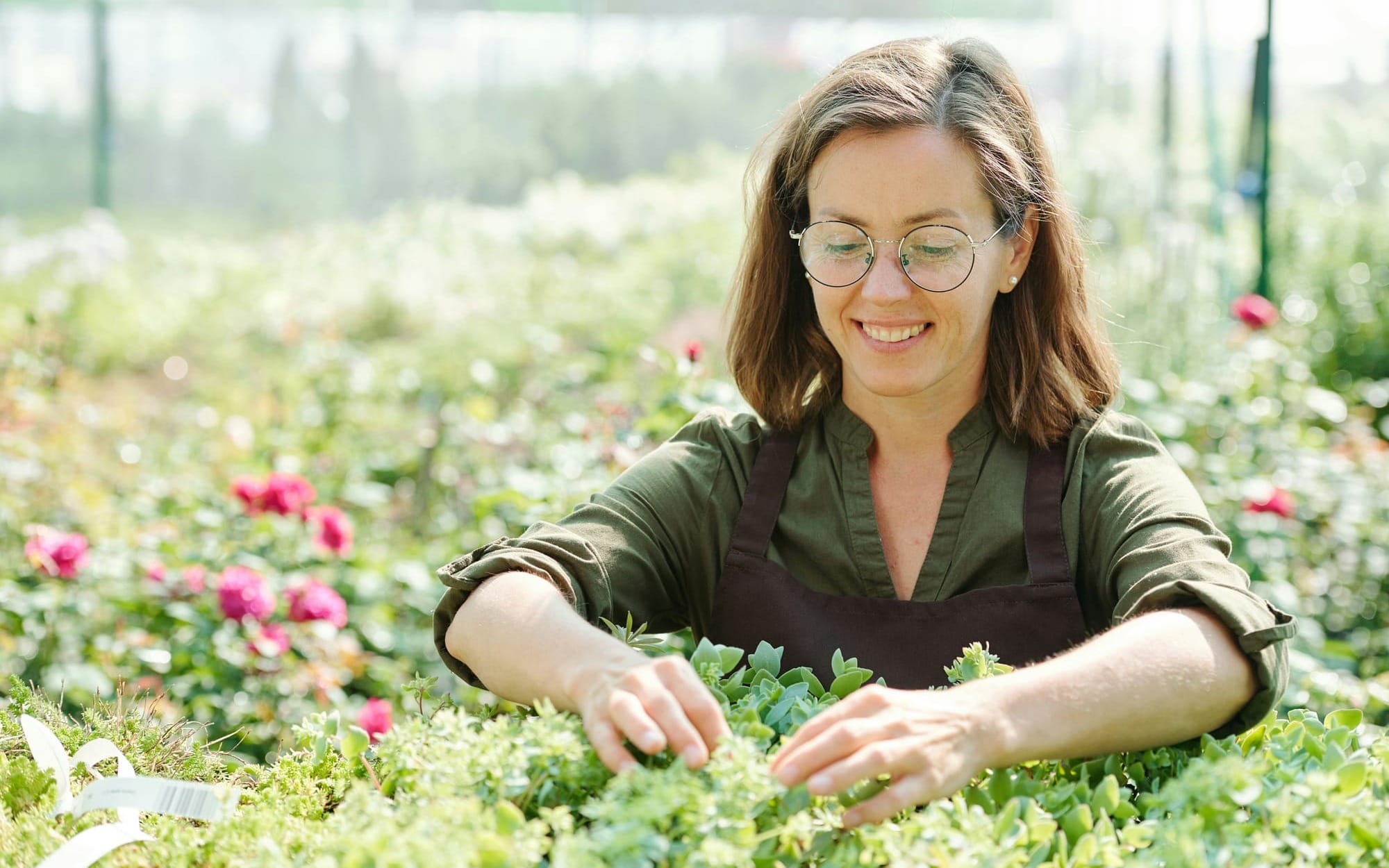Woman tending plants in morning light, symbolising cortisol’s role in energy, metabolism, and natural rhythm.