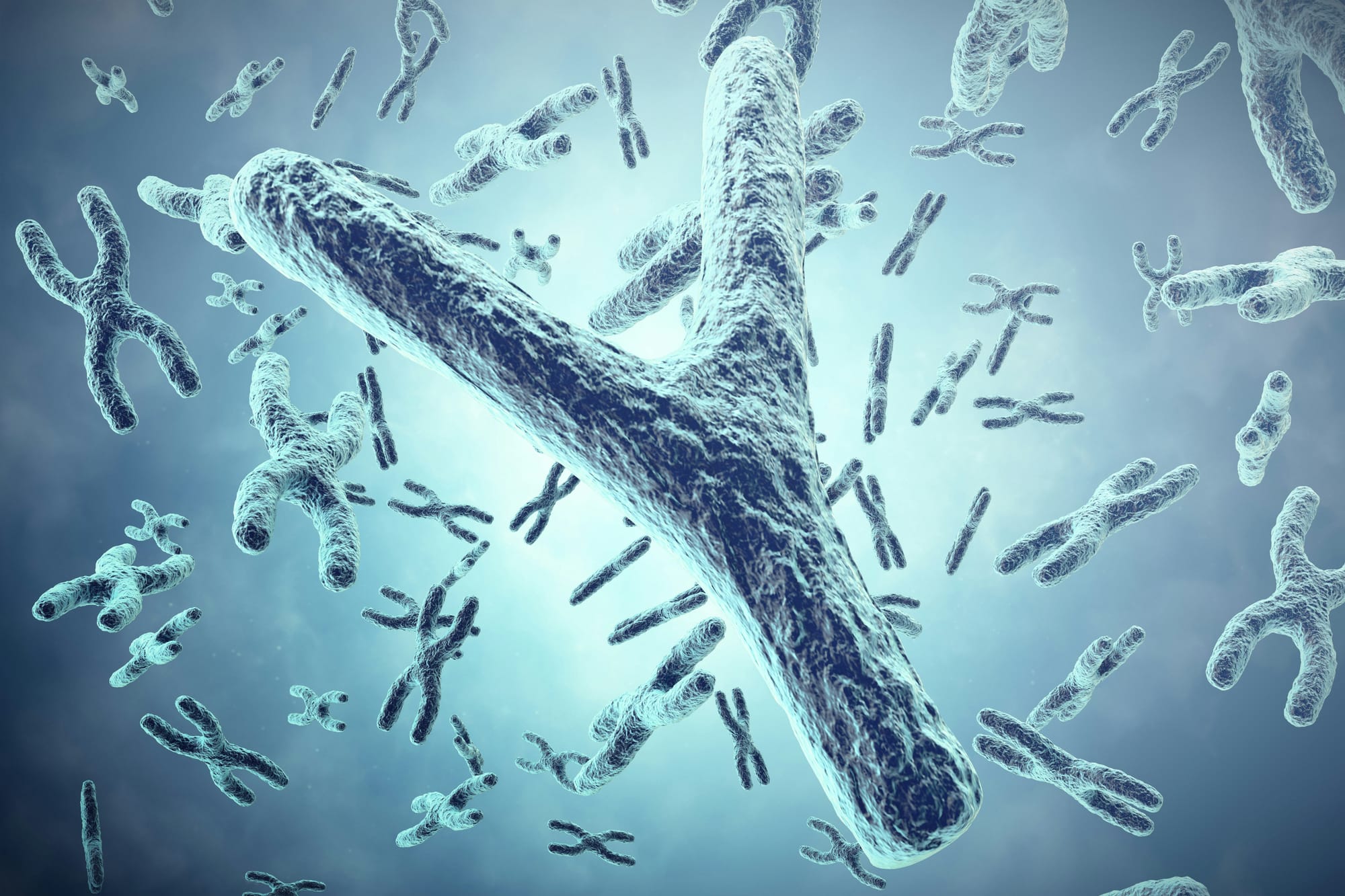 A 3D scientific rendering of chromosomes floating in a bright, pale blue microscopic environment.