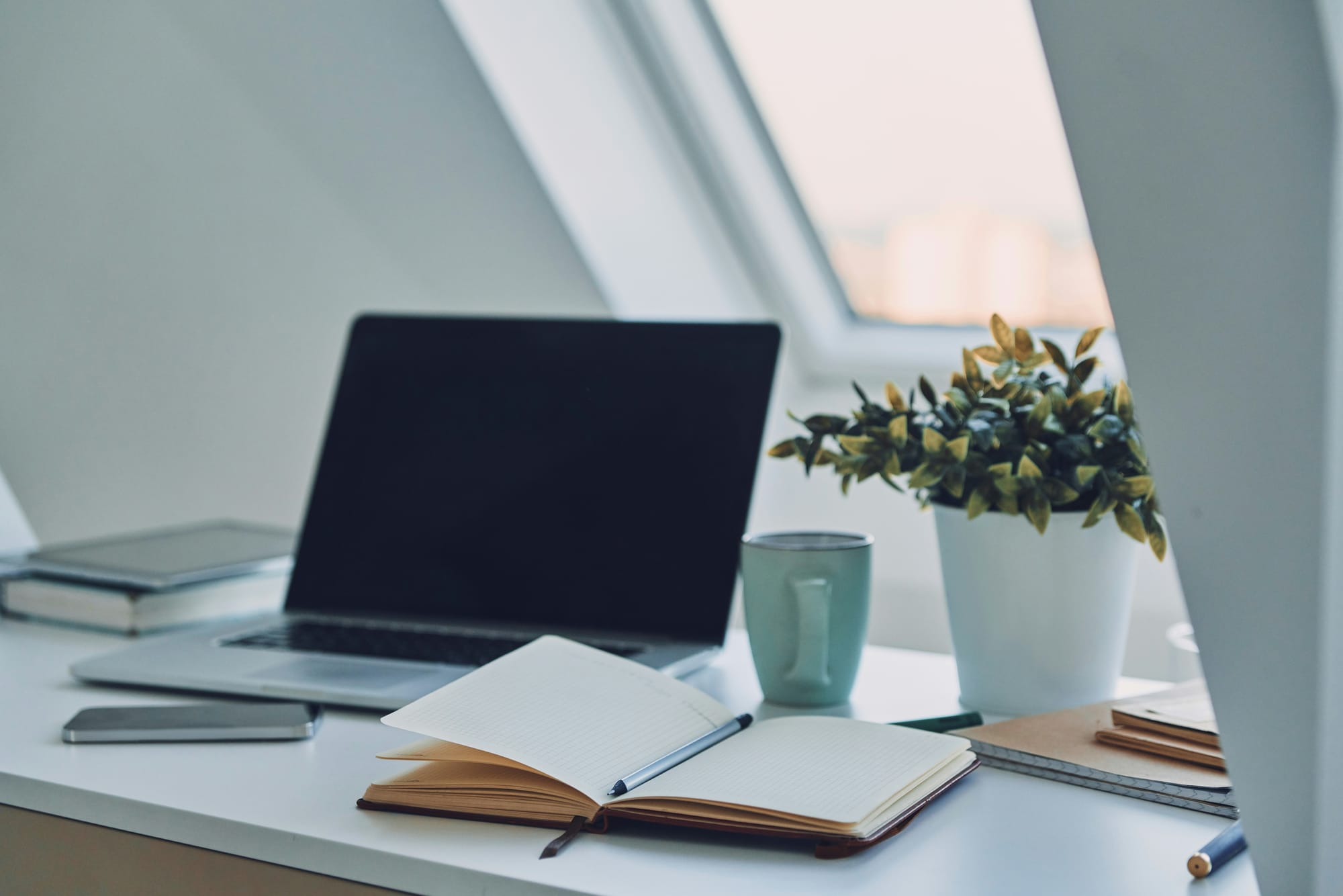 A calm ivory‑sage workspace with an open notebook and laptop — symbolizing gentle, science‑rooted learning.