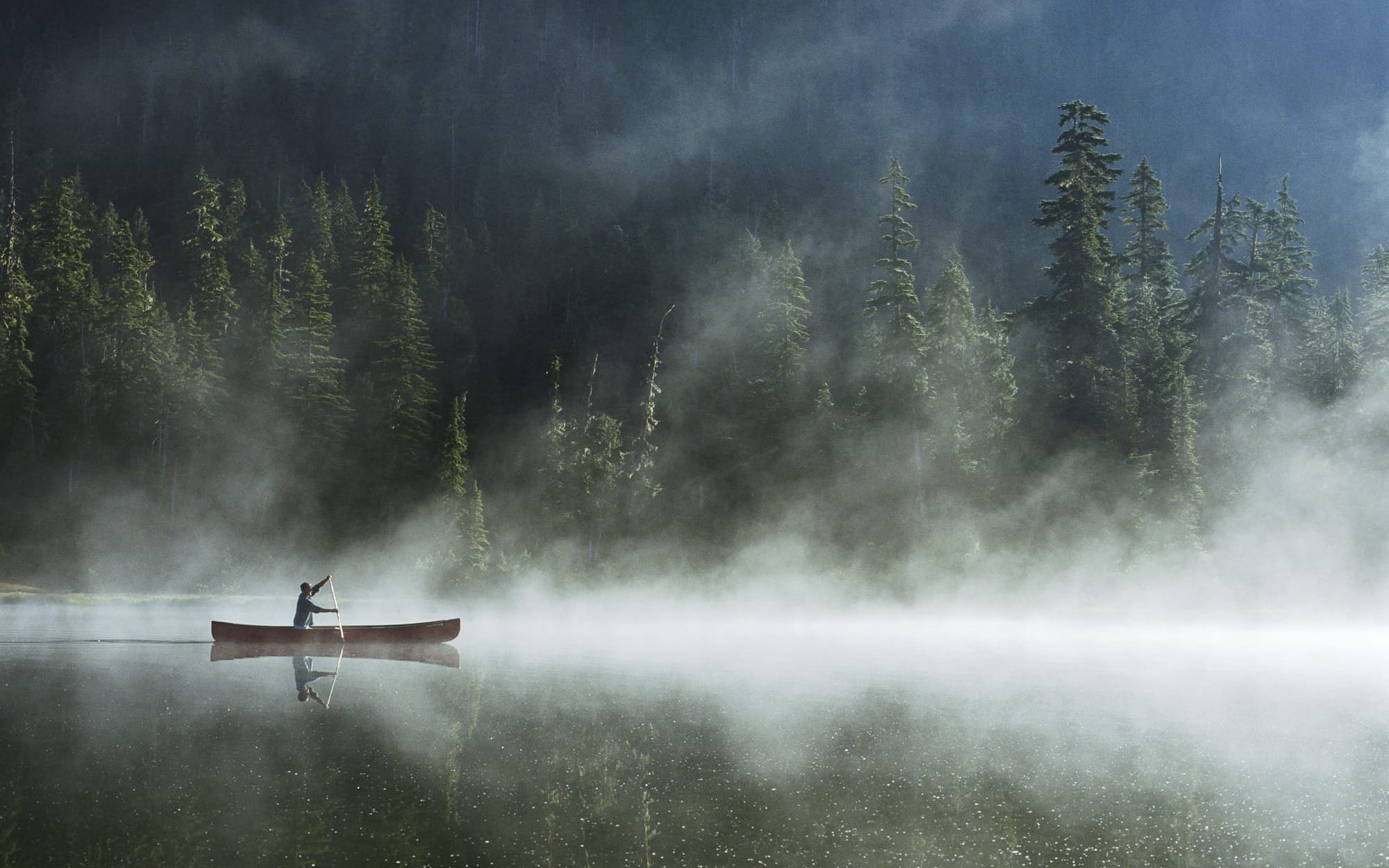 A small canoe with a single person paddling across a misty, foggy lake surrounded by a dense, dark evergreen forest, illustrating a sense of isolation and navigating through an emotional crisis.