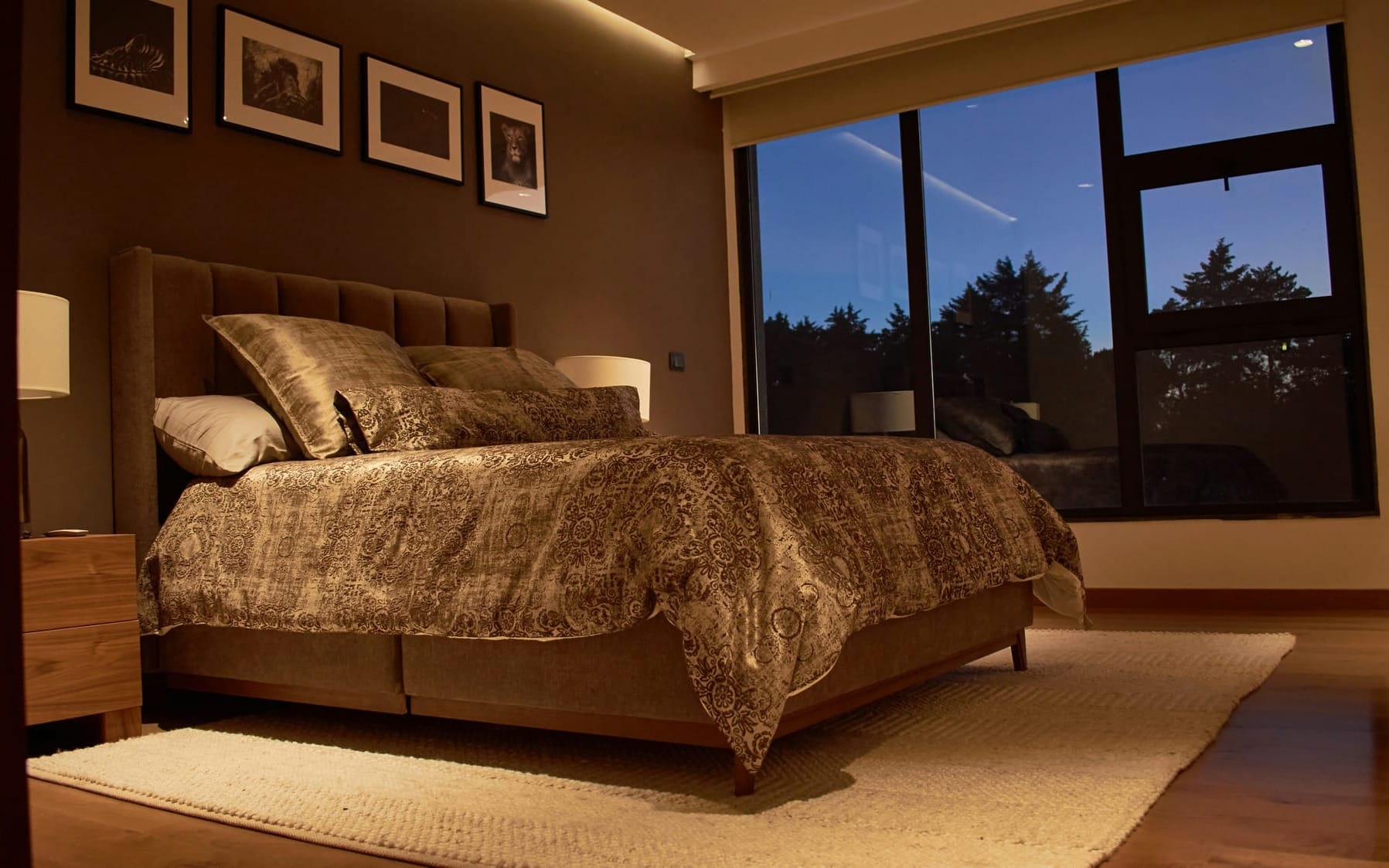 Warmly lit bedroom at night, symbolising the interplay between cortisol decline, sleep architecture, and immune restoration.