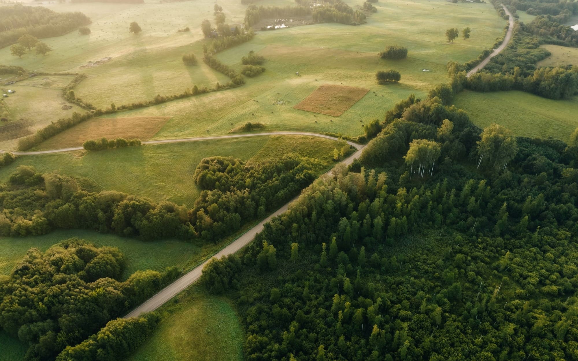 A beautiful aerial drone view of a winding dirt road curving through lush green fields, meadows, and forests under a soft, warm sunlight, symbolizing the lifelong journey back to self-connection.