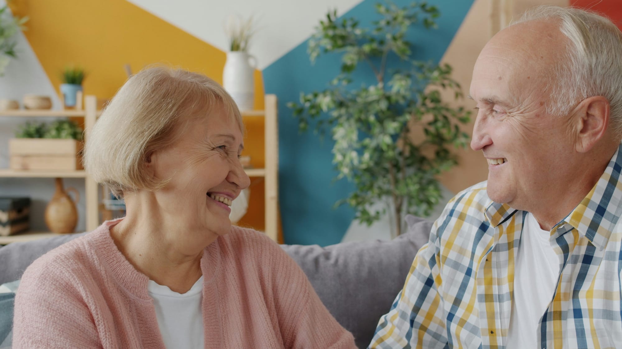 The power of connection: Human relationship and shared joy map directly onto the foundational pillars of longevity.