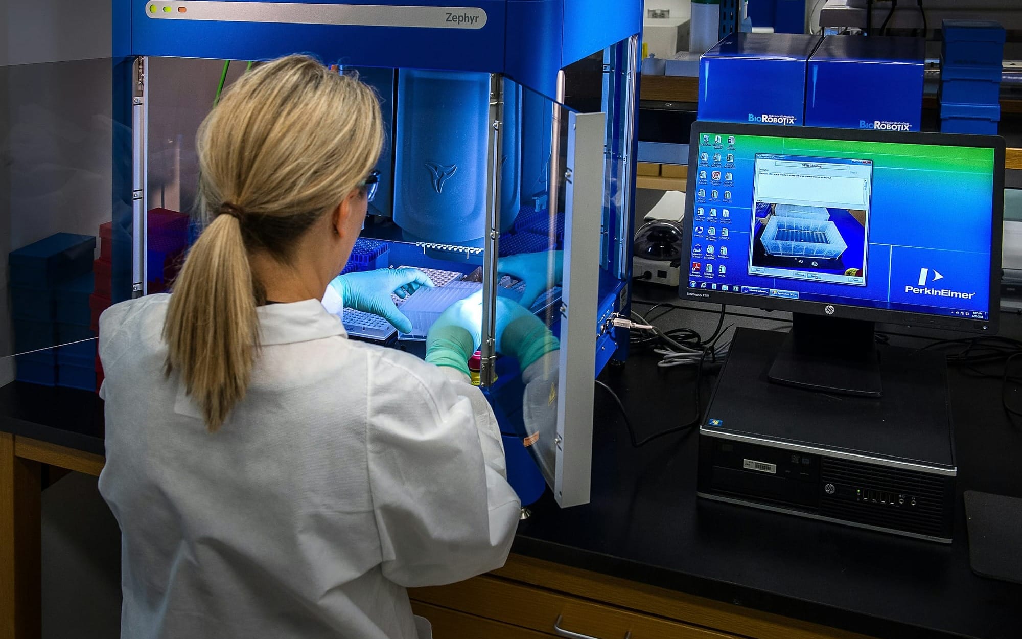 A laboratory technician in a white lab coat and protective gloves operates a high-tech Caliper Zephyr automated liquid handling workstation next to a computer monitor showing molecular analysis software, representing advanced diagnostic investigations beyond standard ELISA screens.