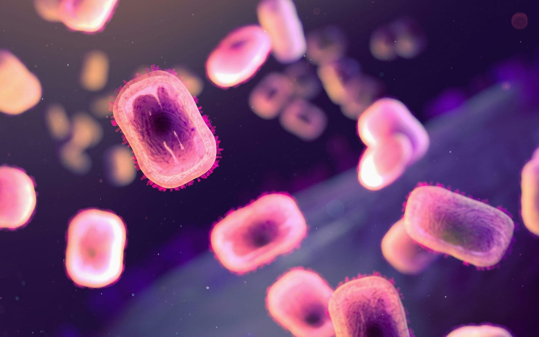 An abstract 3D microbiology render depicting microscopic, oval-shaped bacteria cells glowing with a pink aura against a deep purple background, representing hidden tick-borne co-infections moving through a cellular environment.