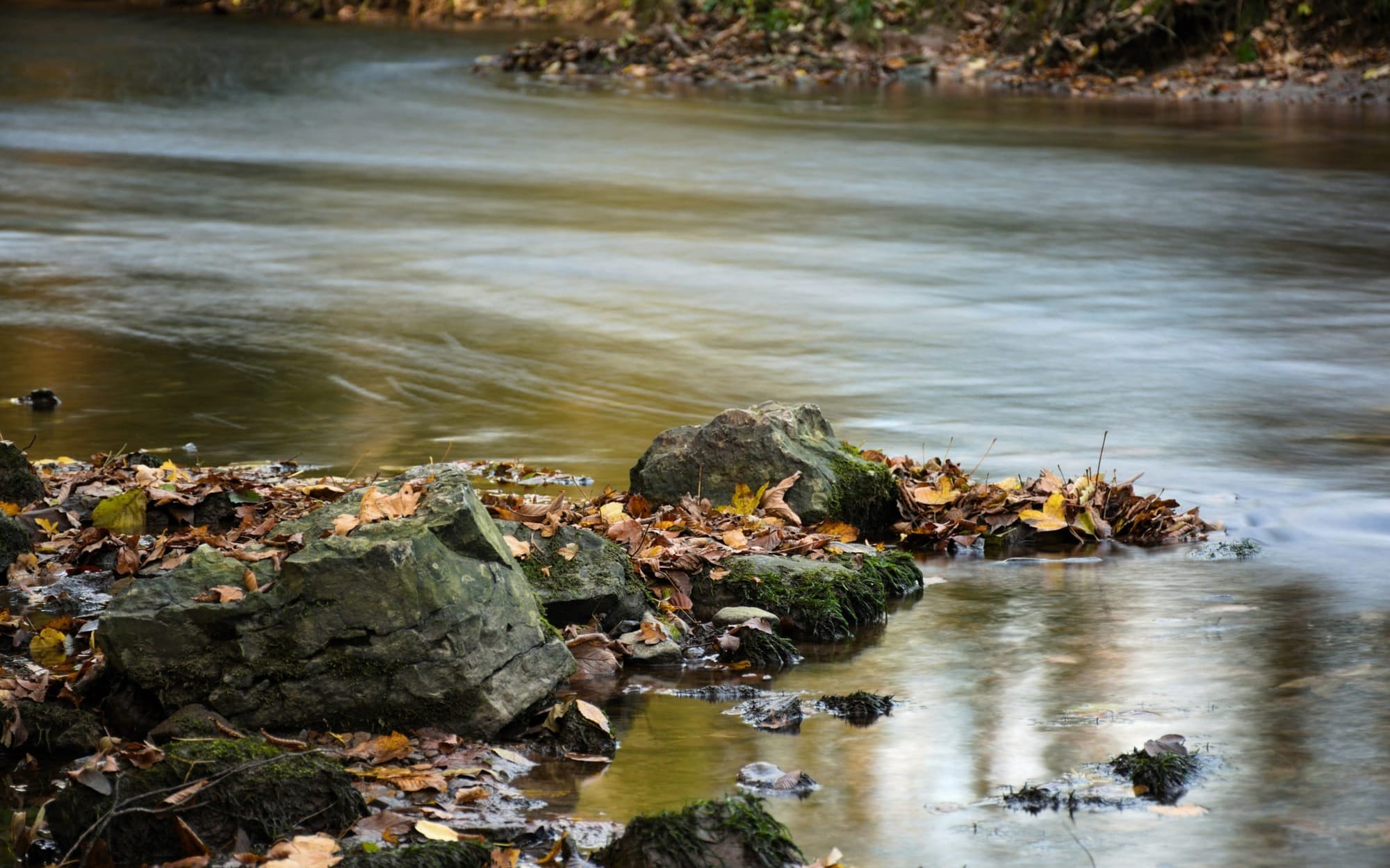 A serene, long-exposure photograph of a calm river flowing smoothly around moss-covered rocks littered with golden autumn leaves.