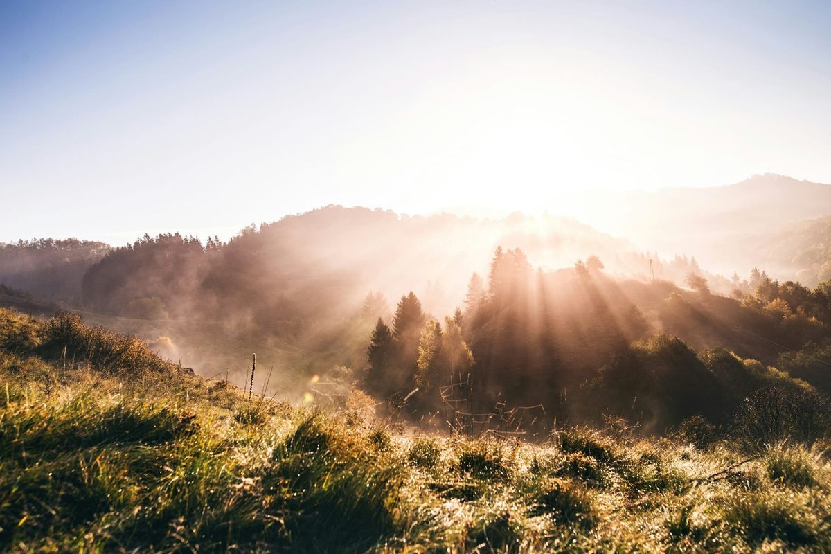 Misty rolling hills and pine forests illuminated by dramatic morning sunbeams at sunrise, symbolizing natural light exposure and circadian rhythm alignment.