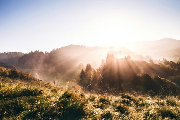Misty rolling hills and pine forests illuminated by dramatic morning sunbeams at sunrise, symbolizing natural light exposure and circadian rhythm alignment.