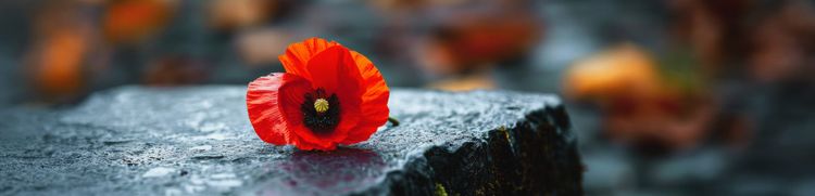 Blurred rituals: Do poppy services at funerals amplify the emotional resonance of Anzac Day?