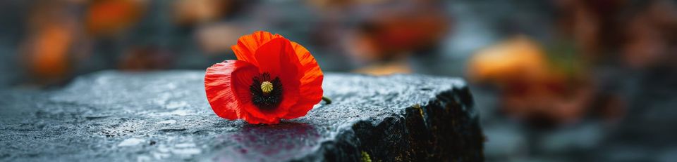 Blurred rituals: Do poppy services at funerals amplify the emotional resonance of Anzac Day?