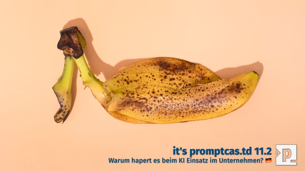 Episode 11.2 🇩🇪 Warum hapert es beim KI Einsatz im Unternehmen?