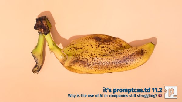 Episode 11.2 🇬🇧 Why is the use of AI in companies still struggling?