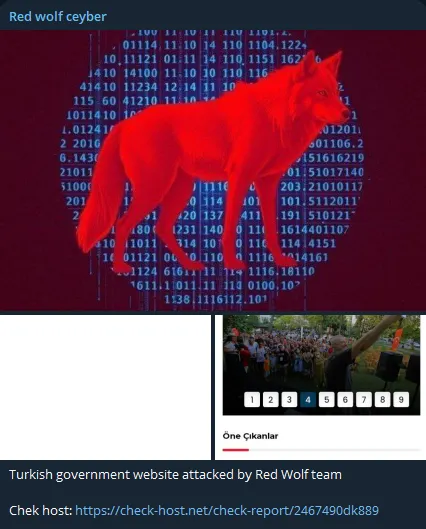 Red wolf ceyber Targeted the Website of Cumhuriyet Halk Partisi (CHP)