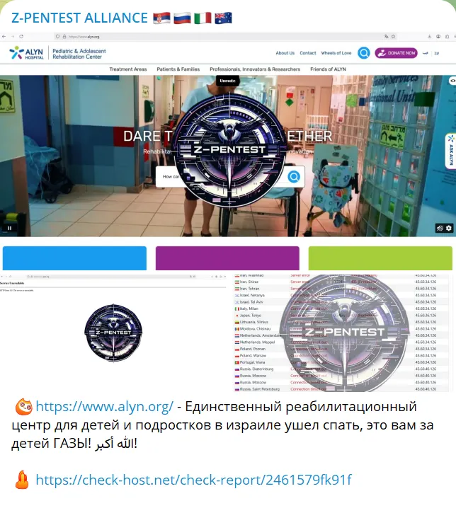 Z-PENTEST ALLIANCE Targeted the Website of ALYN Hospital