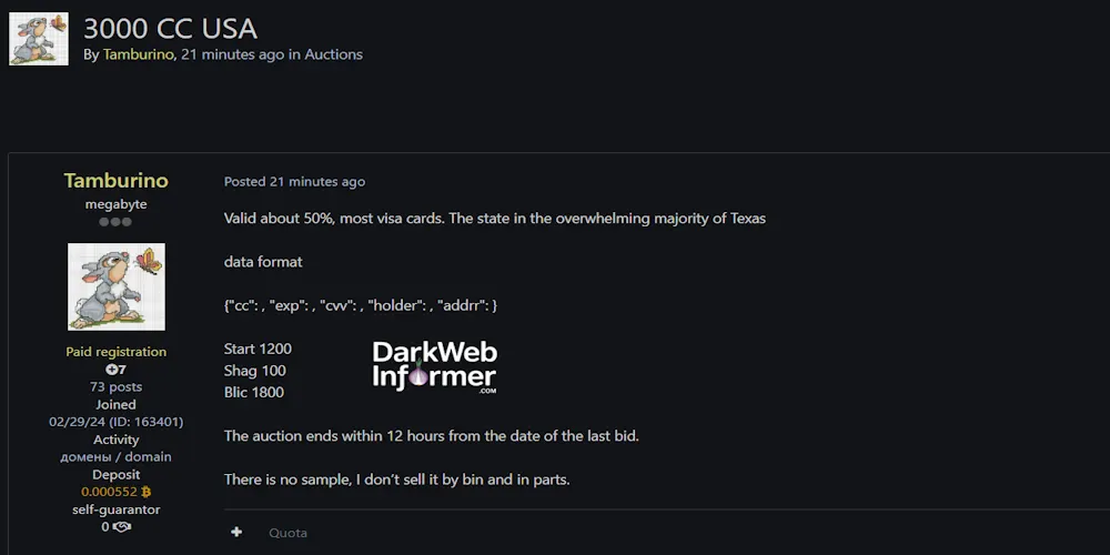 Alleged Sale of 3,000 Credit Card Records from the USA