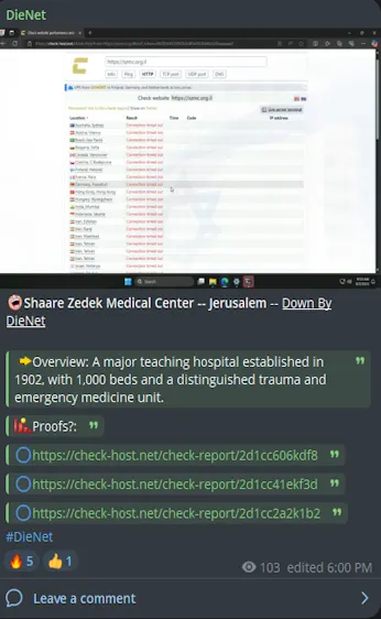 DieNet Targeted the Website of Shaare Zedek Medical Center